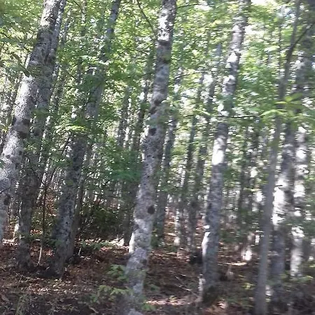 Casas Valleiruelas Las Cruceras