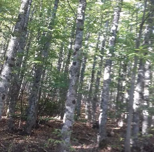 Casas Valleiruelas Las Cruceras